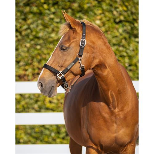 Bezpečnostní ohlávka QHP, černá - vel. Pony Ohlávka bezpečnostní QHP černá, Pony