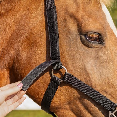 Bezpečnostní ohlávka QHP, černá - vel. Pony Ohlávka bezpečnostní QHP černá, Pony