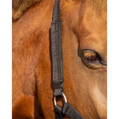 Bezpečnostní ohlávka QHP, černá - vel. Pony Ohlávka bezpečnostní QHP černá, Pony