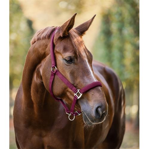Nylonová ohlávka ELT Satin, 2 x podložená, 2x stavitelná, vínová - vel. Pony Ohlávka nylon Satin, 2xpodl., vínová, vel. Pony