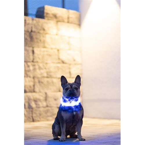 Svítící LED obojek pro psa, 65 cm×2,5 cm - modrý Obojek reflexní, svítící LED, modrý, 65 cm×1,5 c
