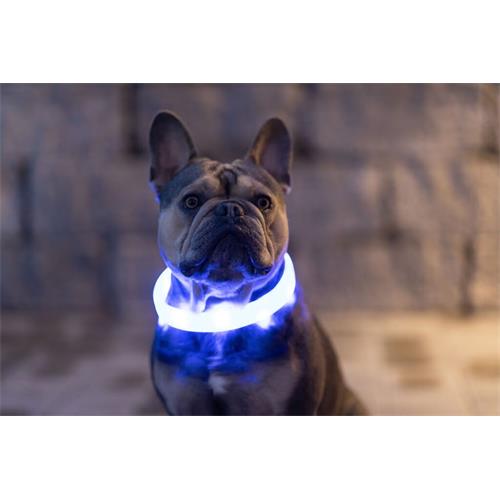 Svítící LED obojek pro psa, 65 cm×2,5 cm - modrý Obojek reflexní, svítící LED, modrý, 65 cm×1,5 c