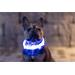 Svítící LED obojek pro psa, 65 cm×2,5 cm - modrý Obojek reflexní, svítící LED, modrý, 65 cm×1,5 c