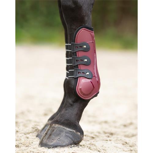 Přední chrániče QHP Champion, vínové - vel. Cob Tendon boots Champion
