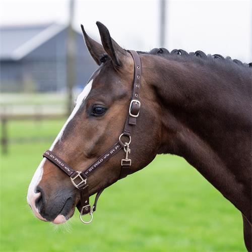 Nylonová ohlávka HV Polo Nena, hnědá - vel. Cob Ohlávka HV Polo Nena, hnědá, Cob