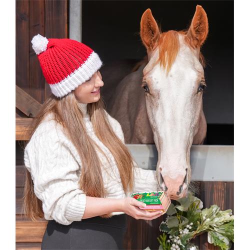 Pamlsek LIKIT Treat bar Xmas Vánoční edice, balení 4 ks Pamlsek LIKIT Treat bar Xmas Vánoční edice, balení 4 ks