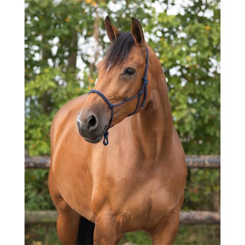 Provazová ohlávka QHP Basic, modrá - vel. Cob Vazačka akupresurní QHP Basic, modrá, Cob