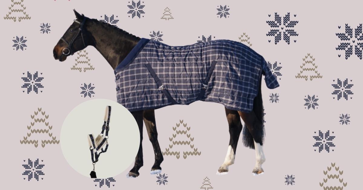 Facebooková vánoční soutěž - 3. adventní neděle