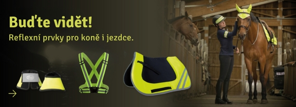 Reflexní prvky