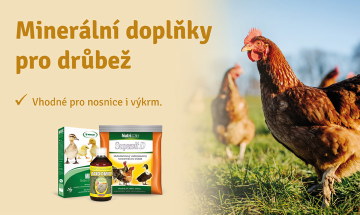 Minerální doplňky pro drůbež