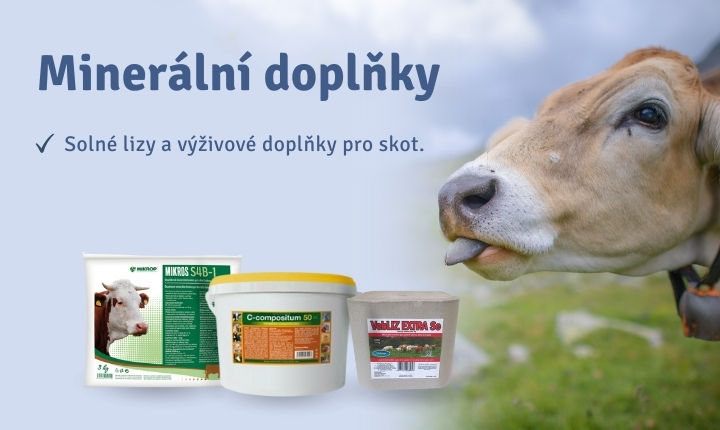 Solné lizy a minerály