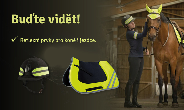 Reflexní prvky